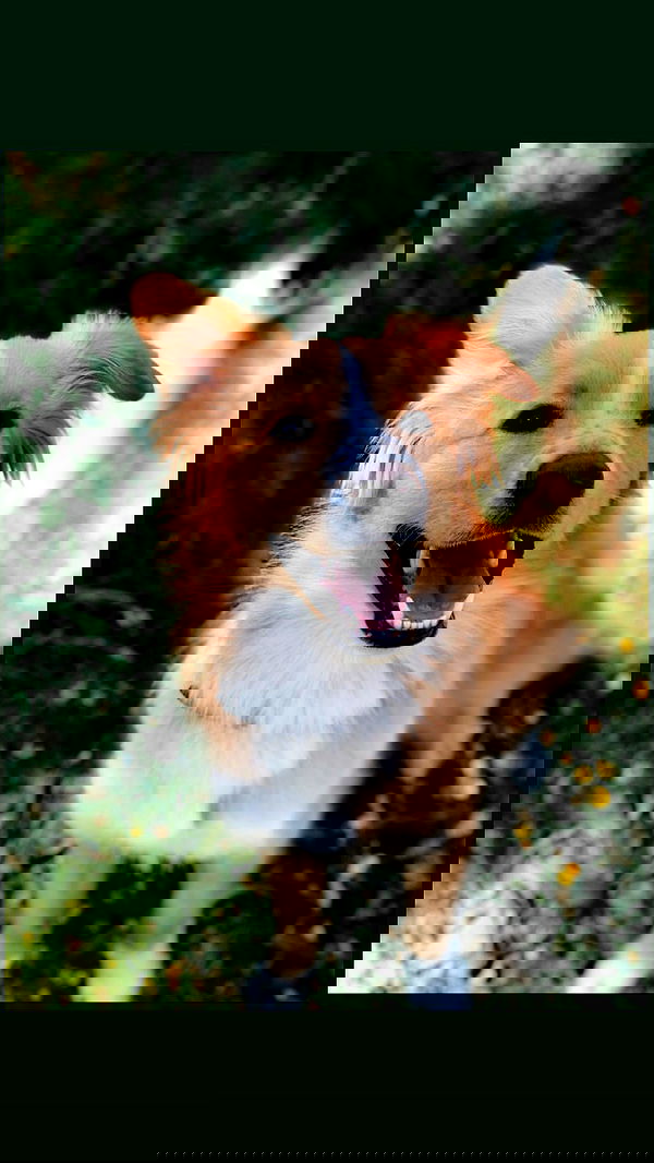 biton__adi biton__adi archive image