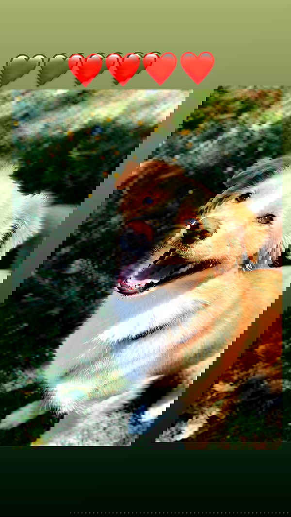 biton__adi biton__adi archive image