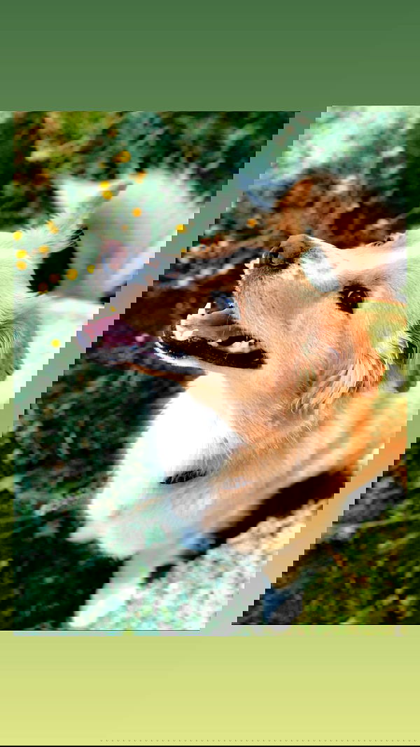 biton__adi biton__adi archive image