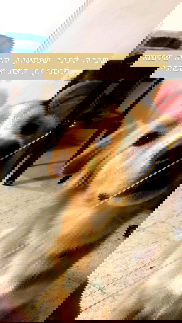 biton__adi biton__adi archive image