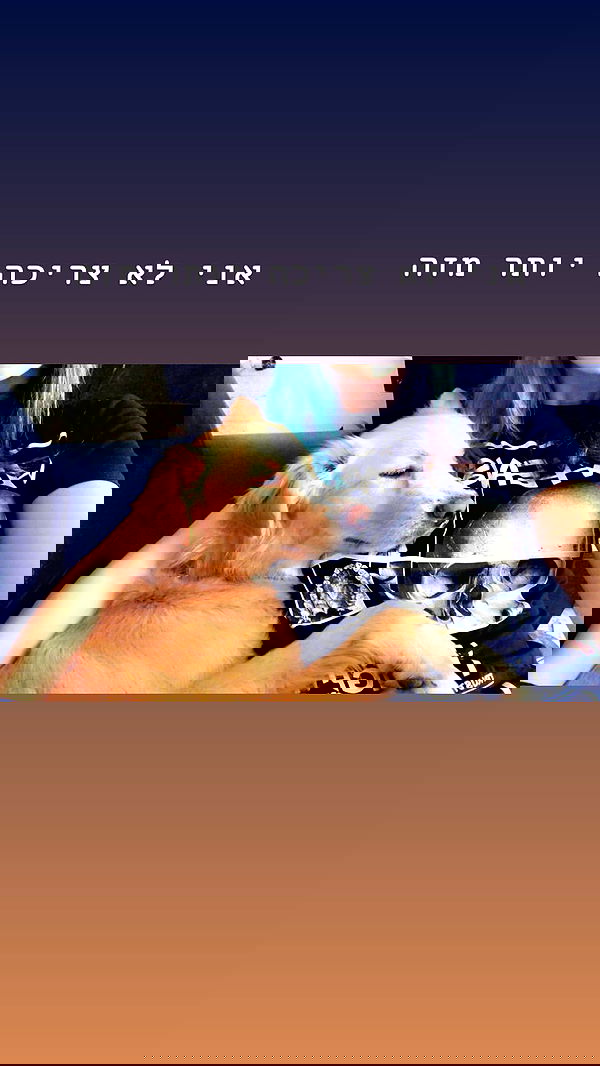 biton__adi biton__adi archive image