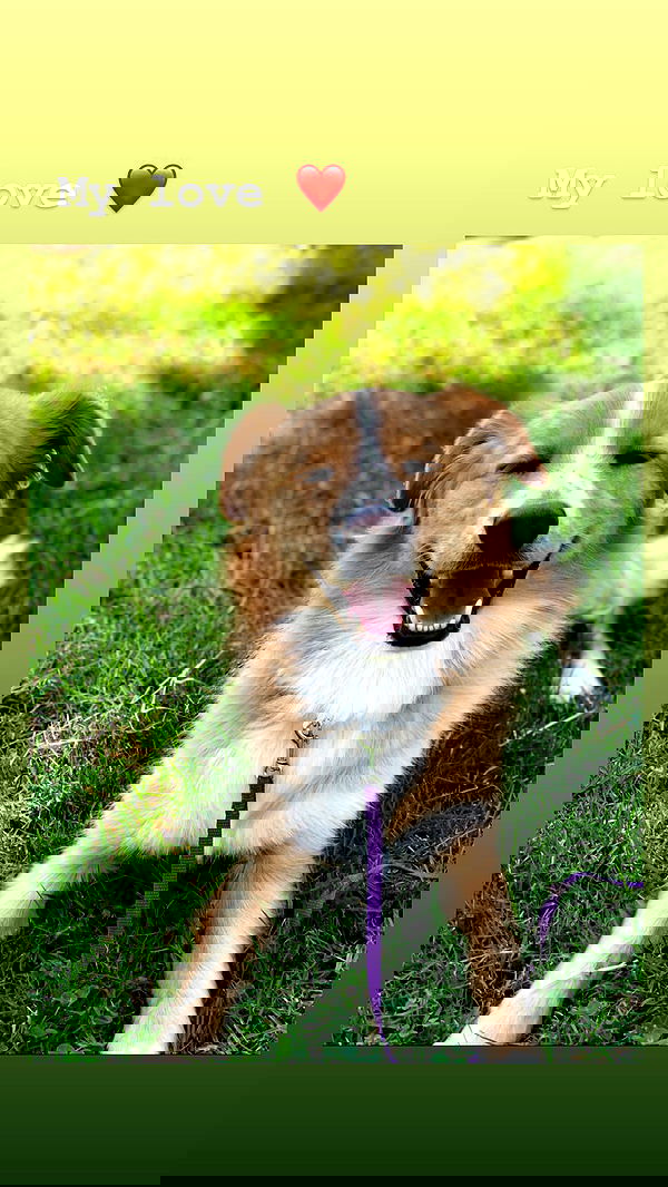 biton__adi biton__adi archive image