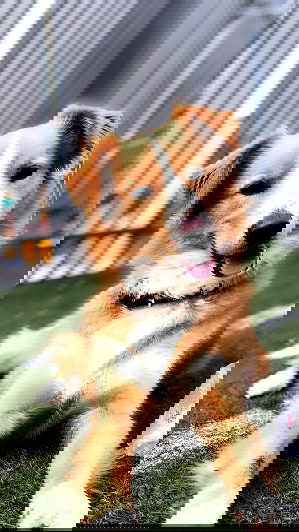 biton__adi biton__adi archive image