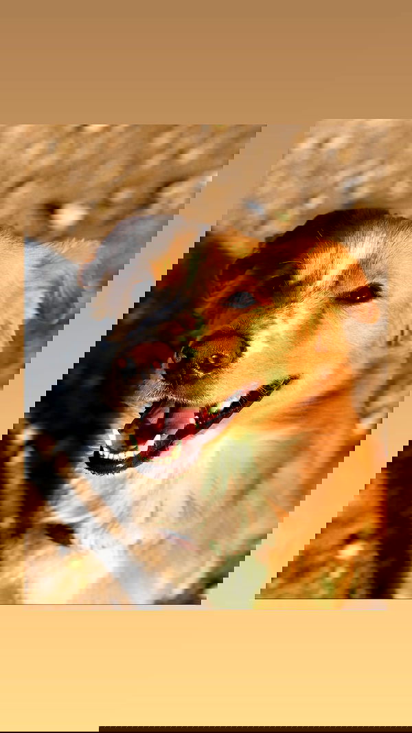 biton__adi biton__adi archive image