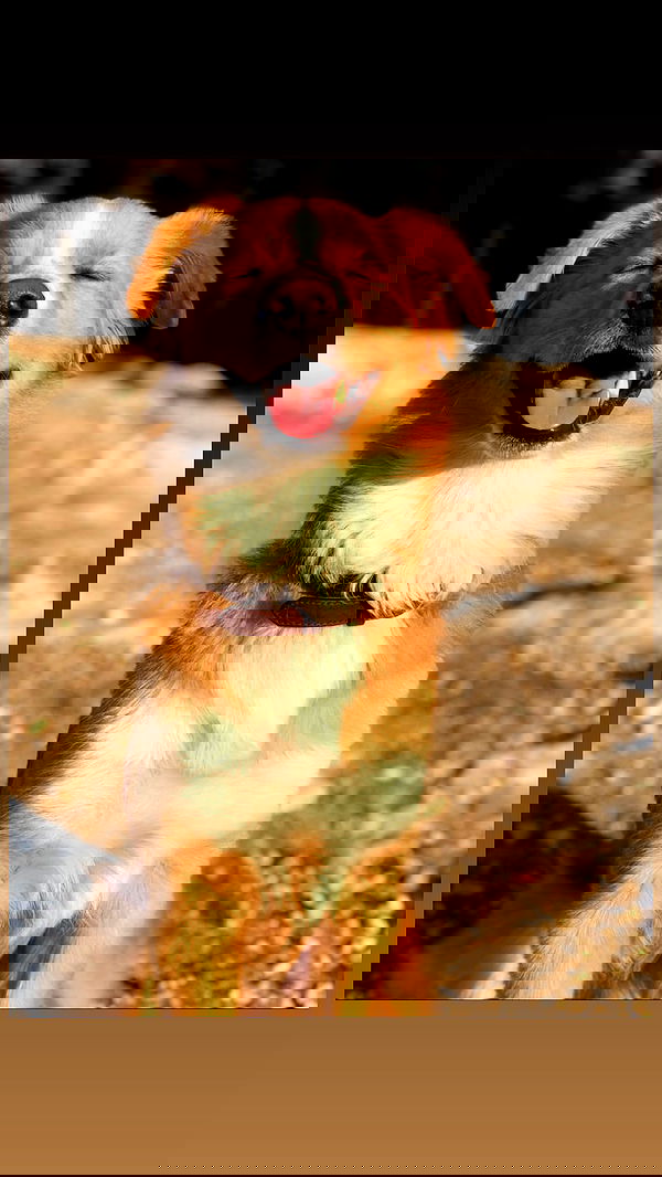 biton__adi biton__adi archive image