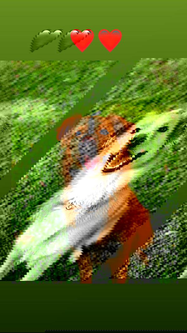 biton__adi biton__adi archive image