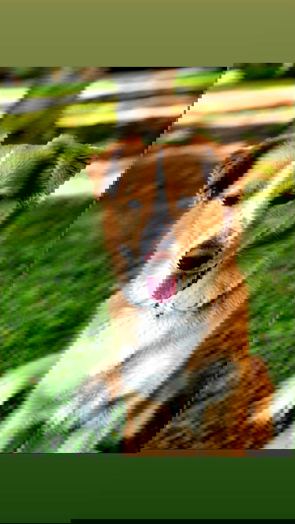 biton__adi biton__adi archive image