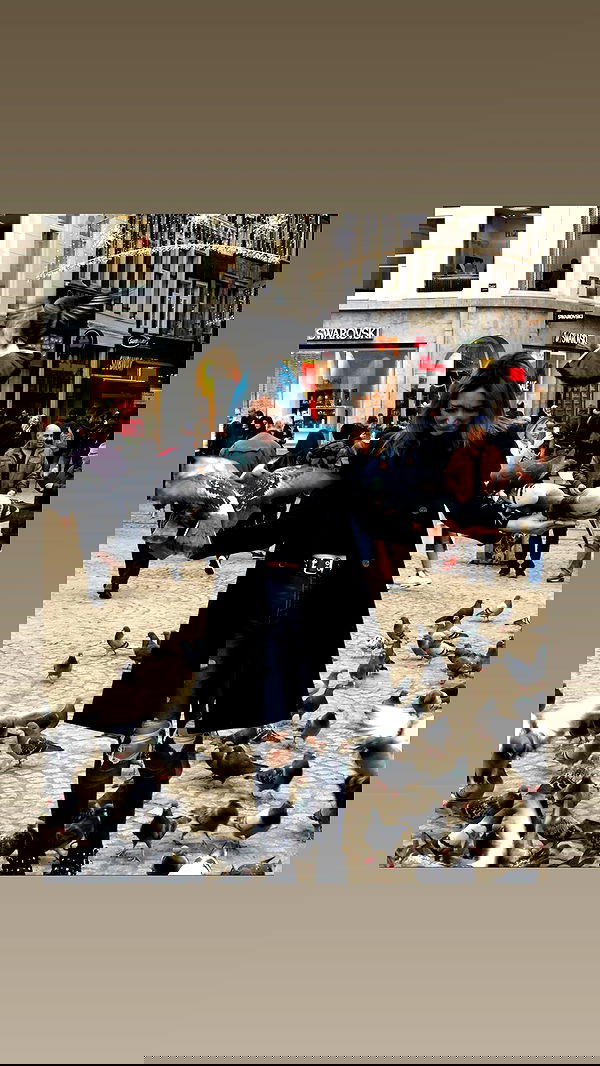 biton__adi biton__adi archive image