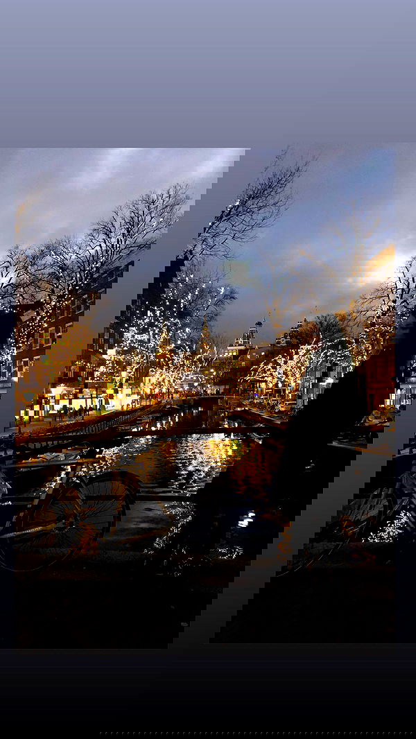 biton__adi biton__adi archive image