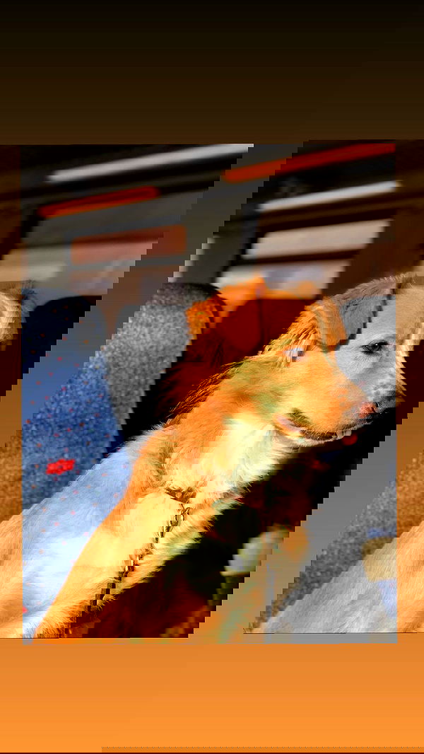 biton__adi biton__adi archive image