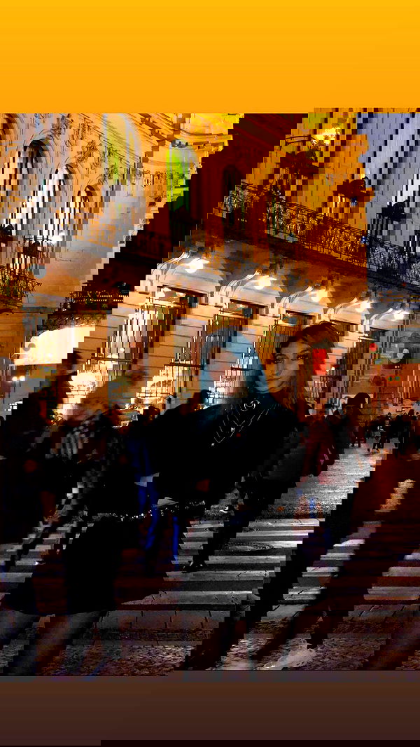 biton__adi biton__adi archive image