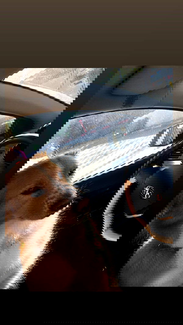 biton__adi biton__adi archive image