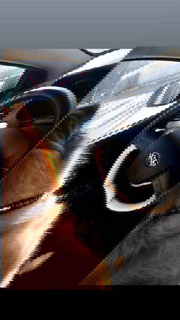 biton__adi biton__adi archive image