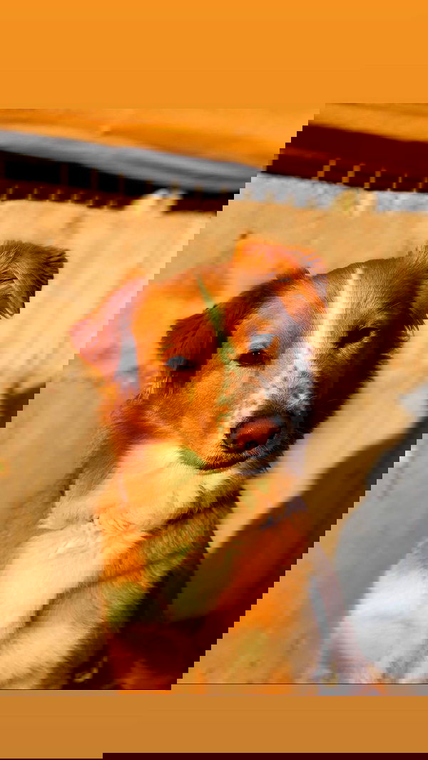 biton__adi biton__adi archive image