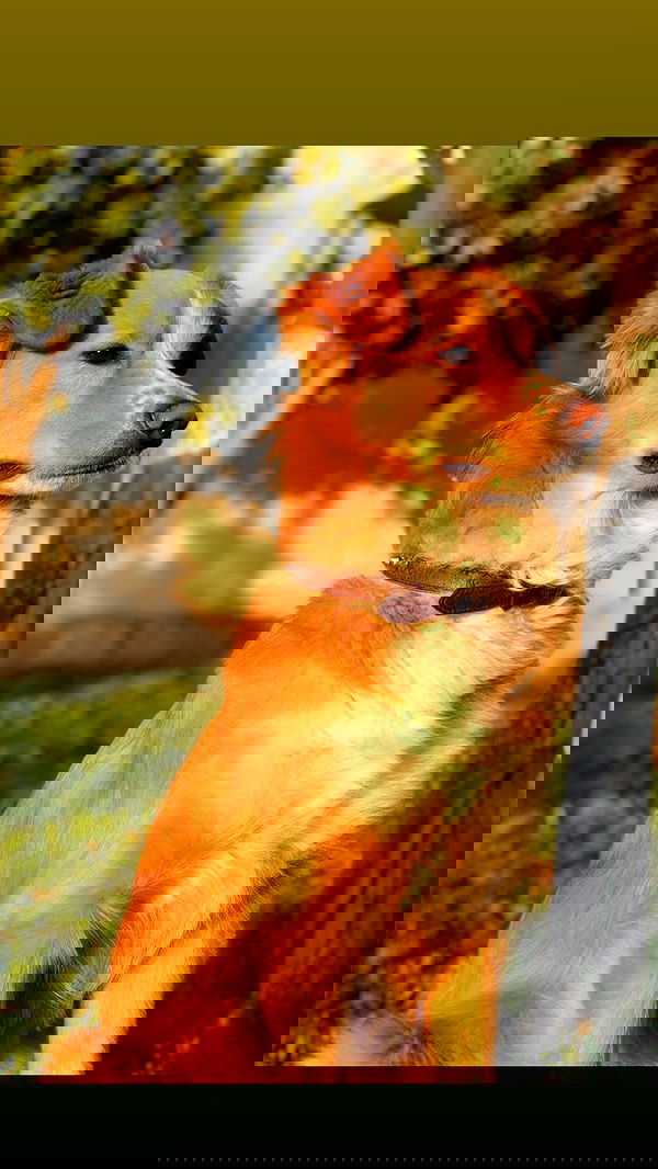 biton__adi biton__adi archive image