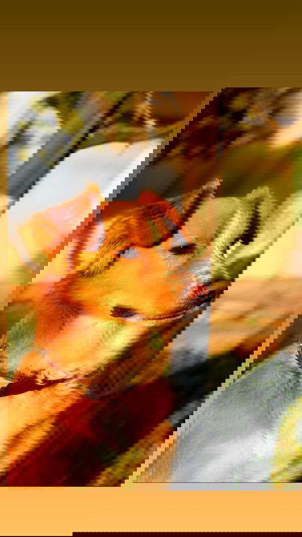 biton__adi biton__adi archive image