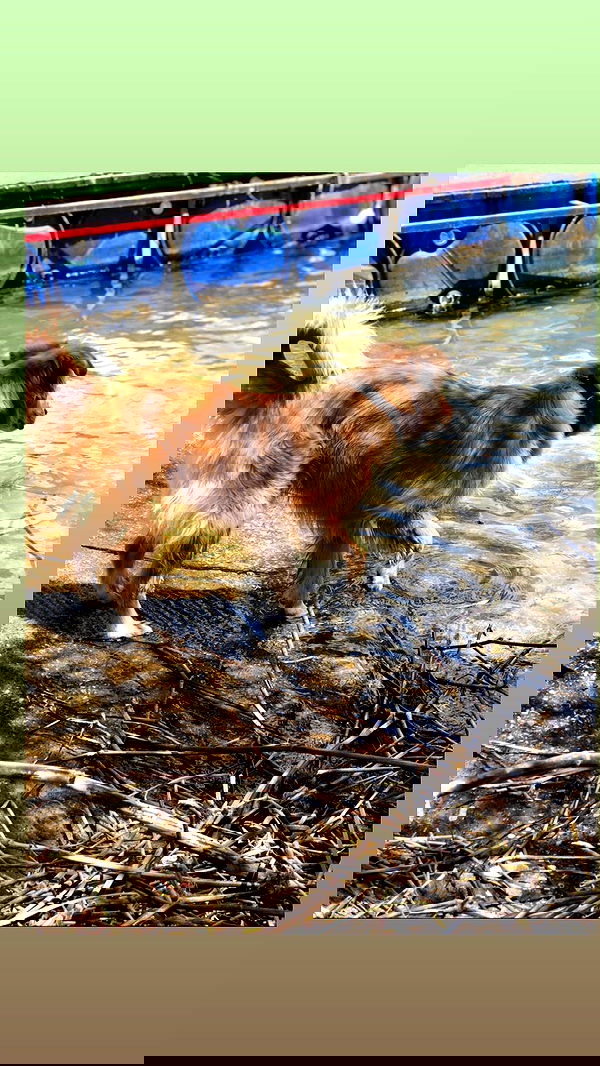 biton__adi biton__adi archive image