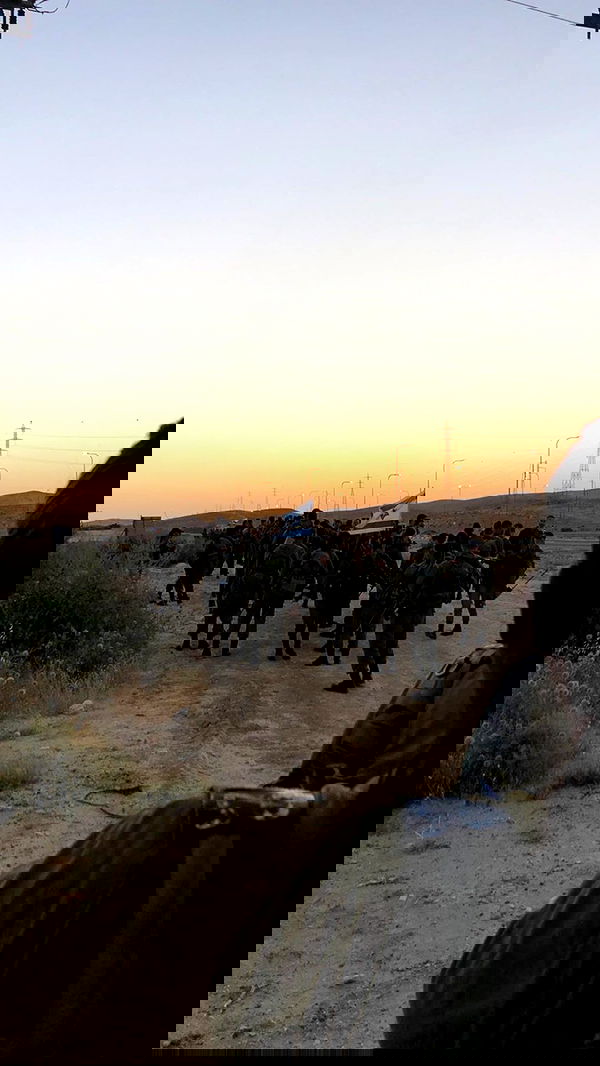 biton__adi biton__adi archive image