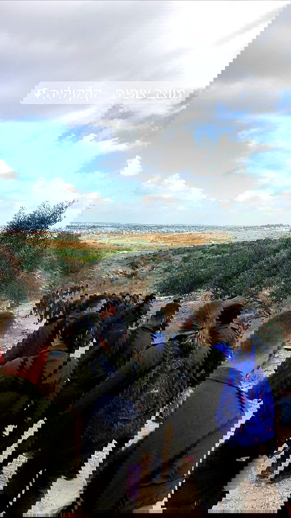 biton__adi biton__adi archive image