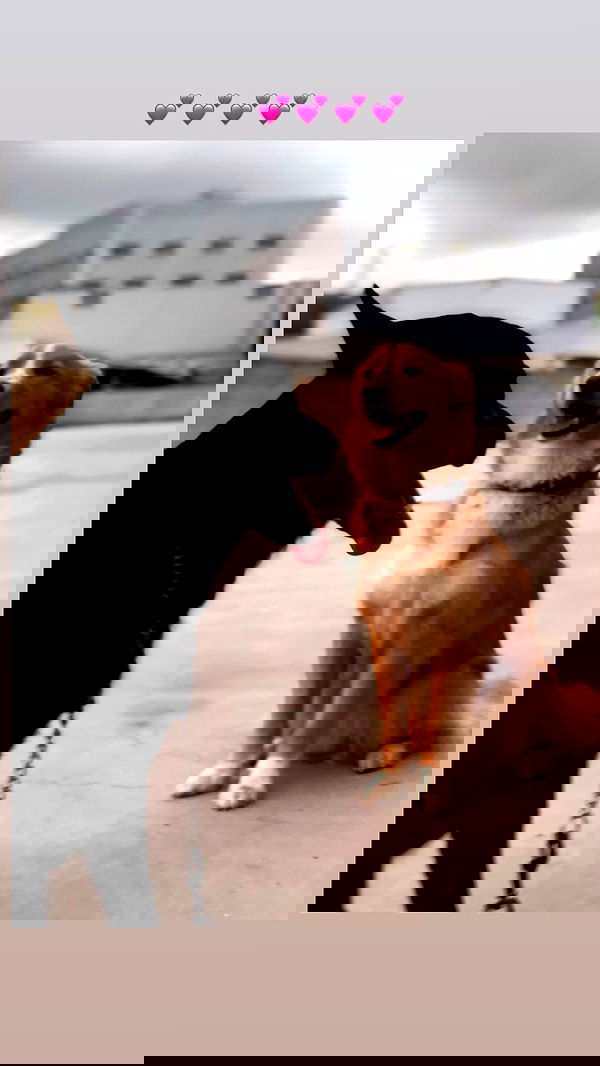 biton__adi biton__adi archive image