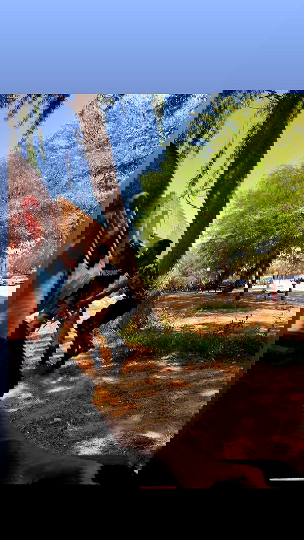 biton__adi biton__adi archive image