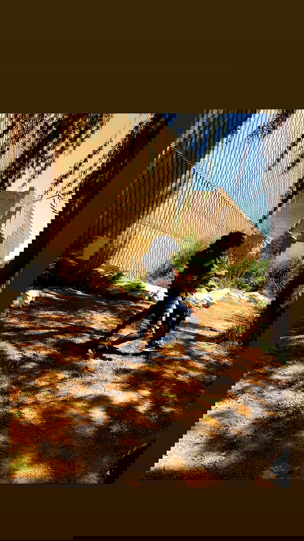 biton__adi biton__adi archive image