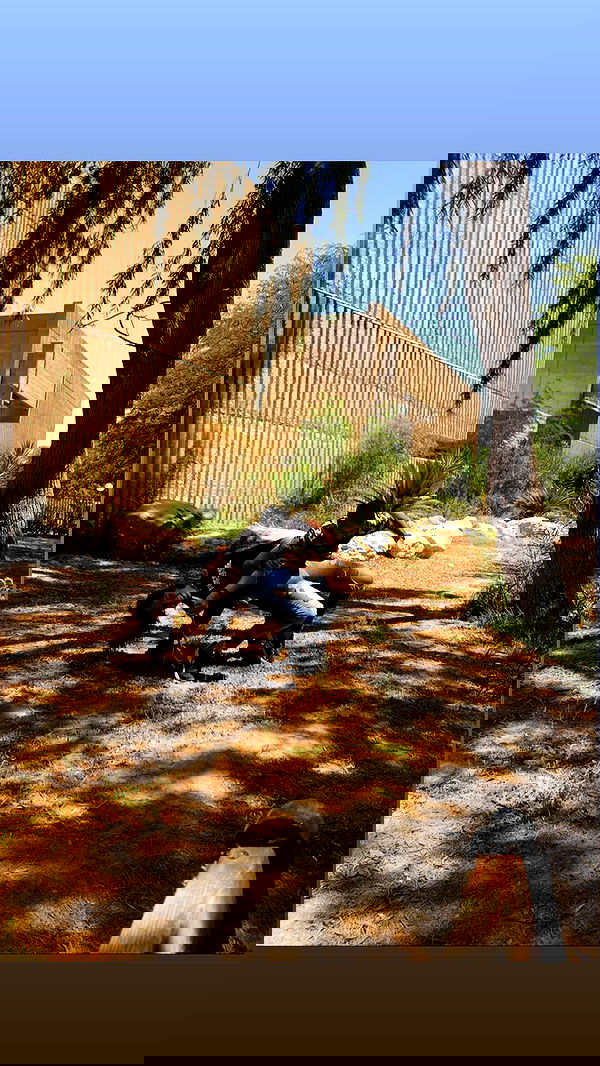 biton__adi biton__adi archive image