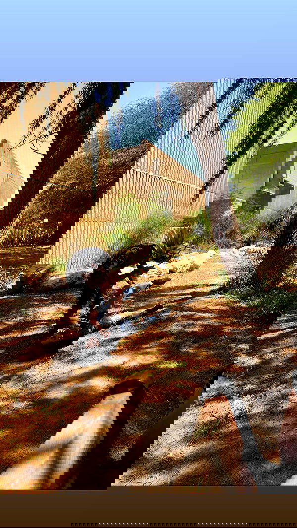 biton__adi biton__adi archive image