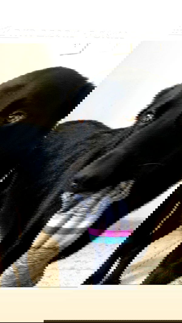 biton__adi biton__adi archive image