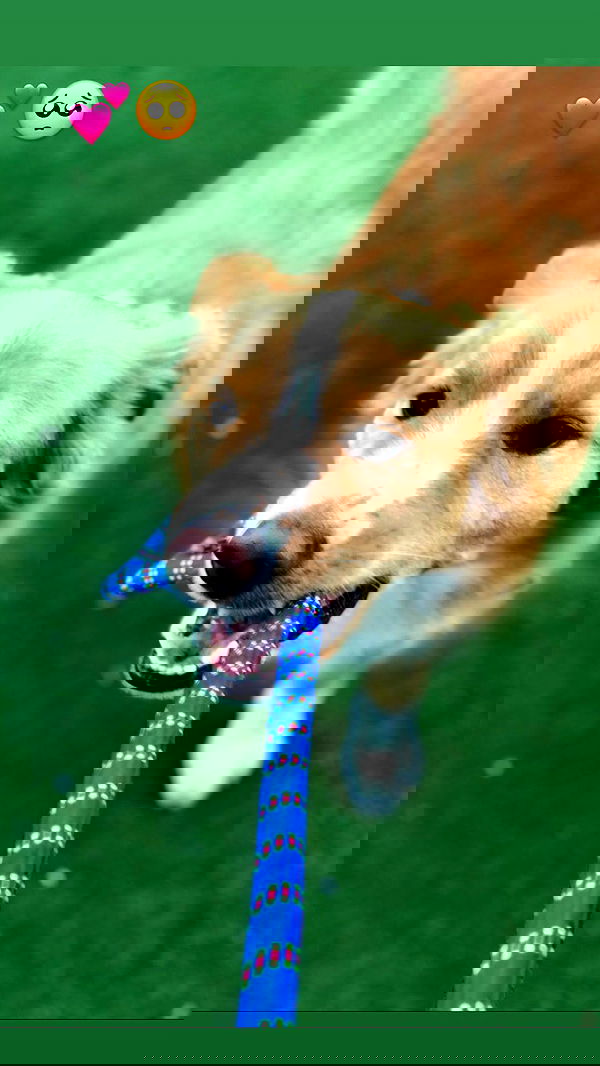 biton__adi biton__adi archive image