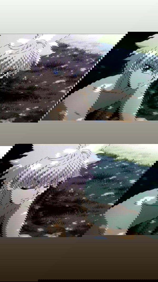 biton__adi biton__adi archive image