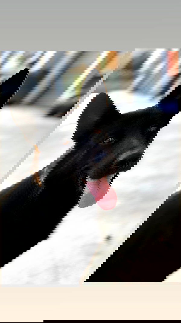 biton__adi biton__adi archive image