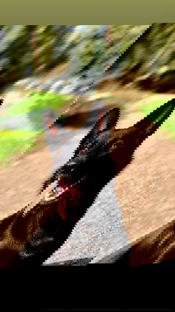 biton__adi biton__adi archive image