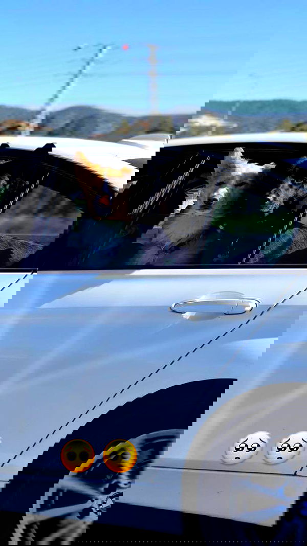 biton__adi biton__adi archive image