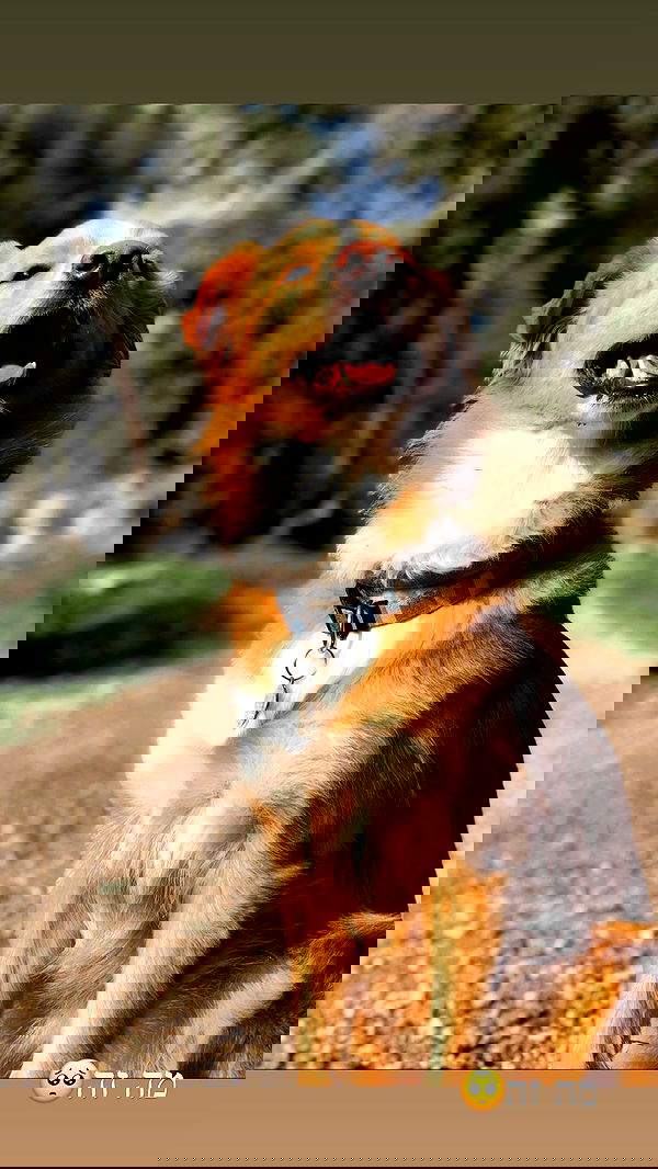 biton__adi biton__adi archive image