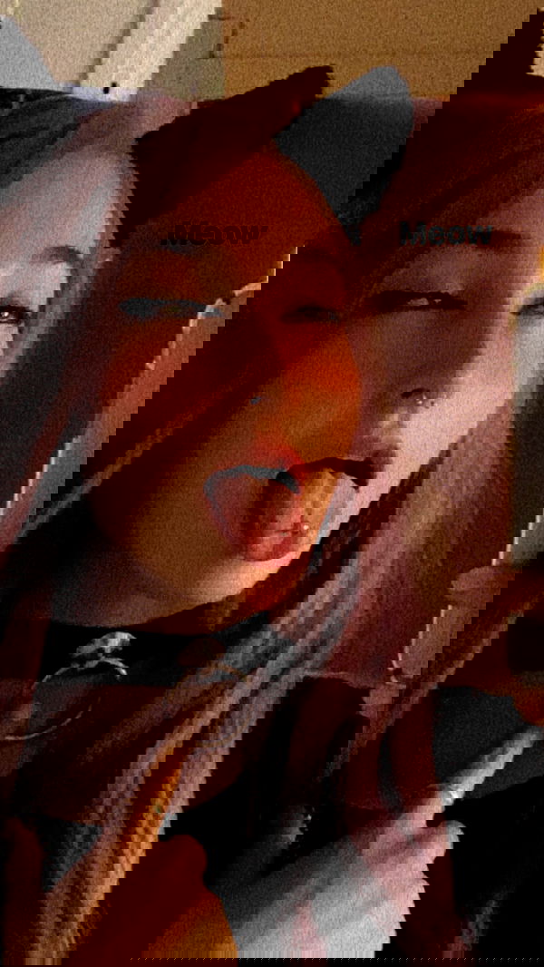 biton__adi biton__adi archive image