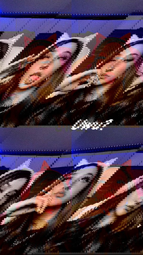 biton__adi biton__adi archive image