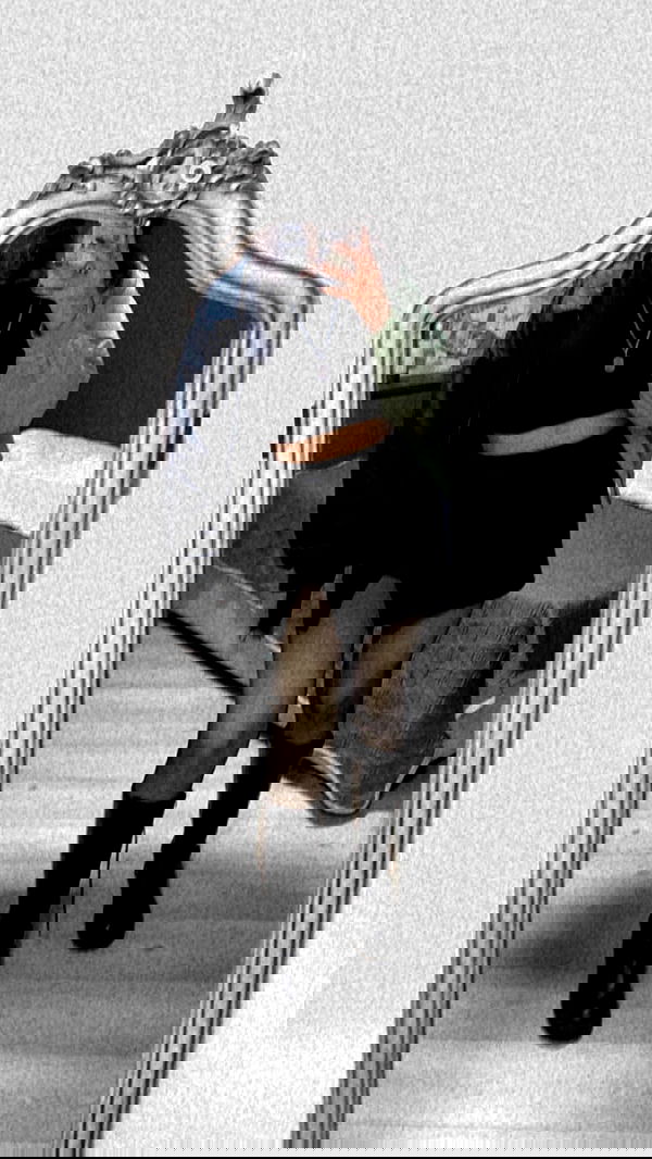 biton__adi biton__adi archive image