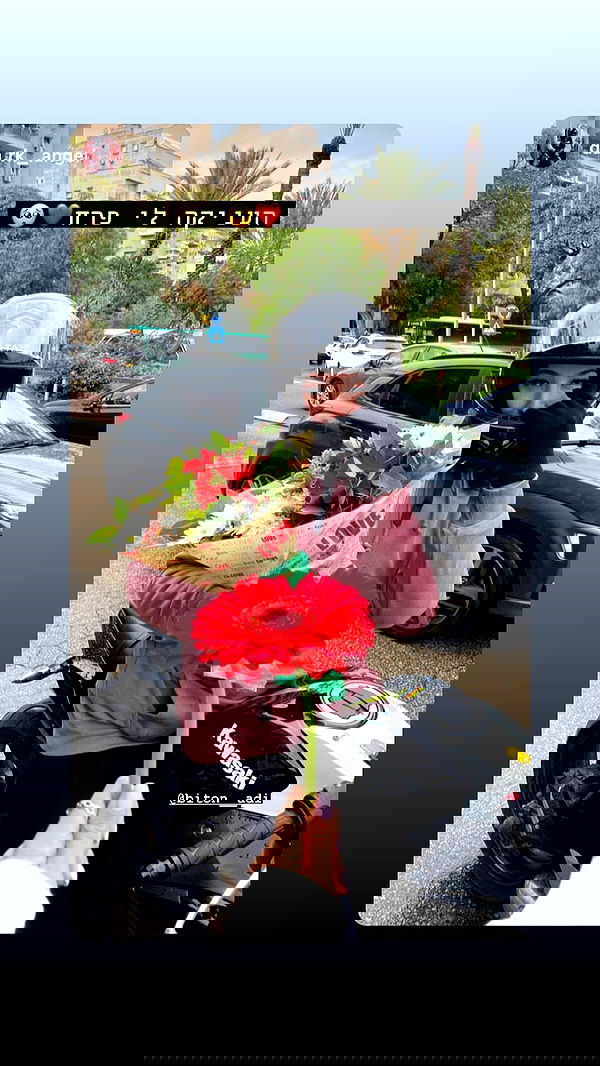 biton__adi biton__adi archive image