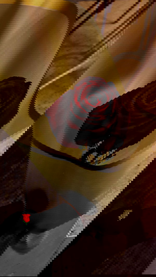 biton__adi biton__adi archive image