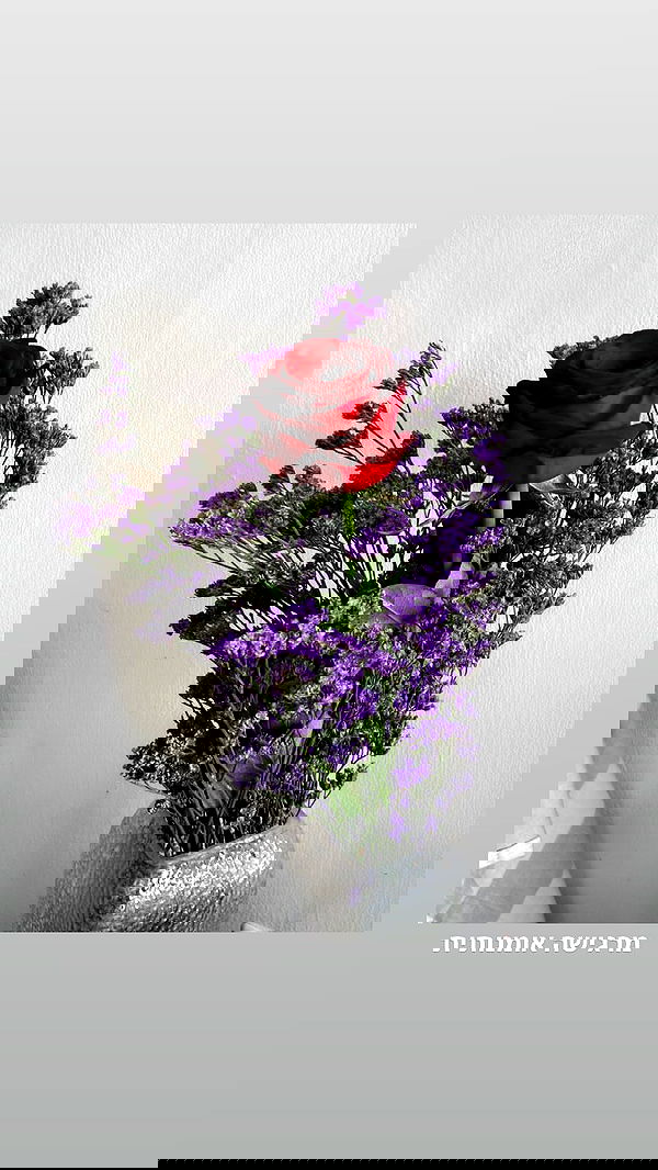 biton__adi biton__adi archive image