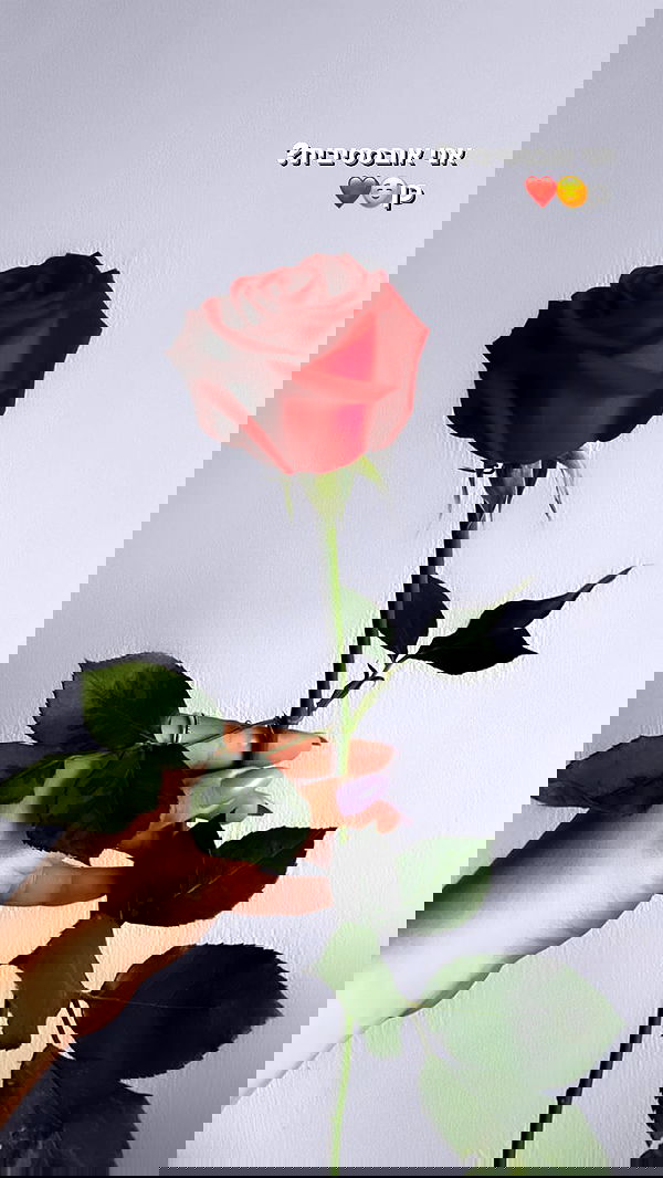 biton__adi biton__adi archive image