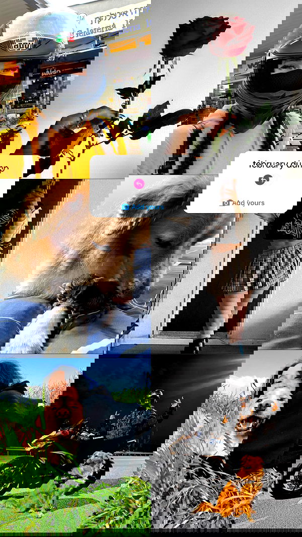 biton__adi biton__adi archive image