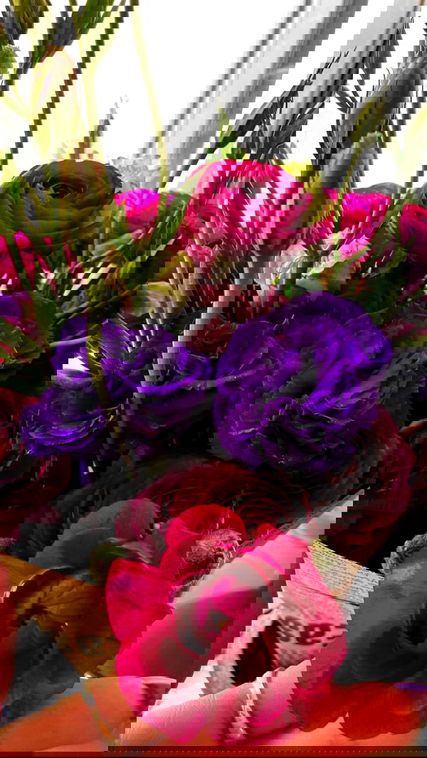 biton__adi biton__adi archive image