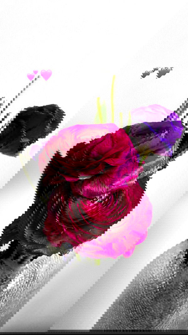 biton__adi biton__adi archive image