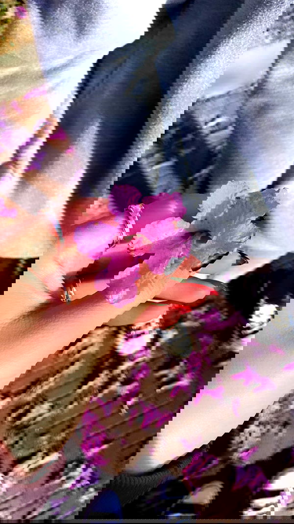 biton__adi biton__adi archive image