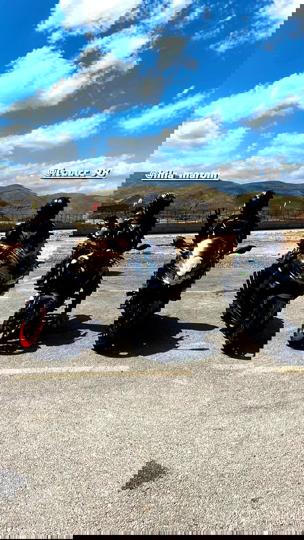 biton__adi biton__adi archive image