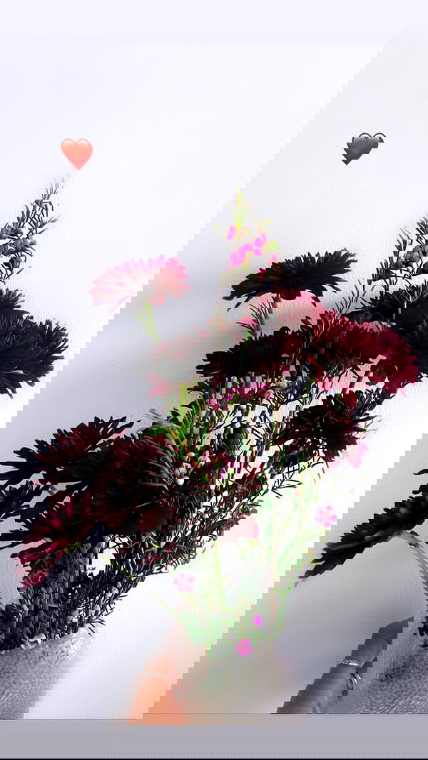 biton__adi biton__adi archive image