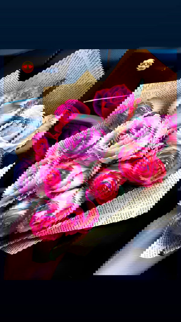 biton__adi biton__adi archive image