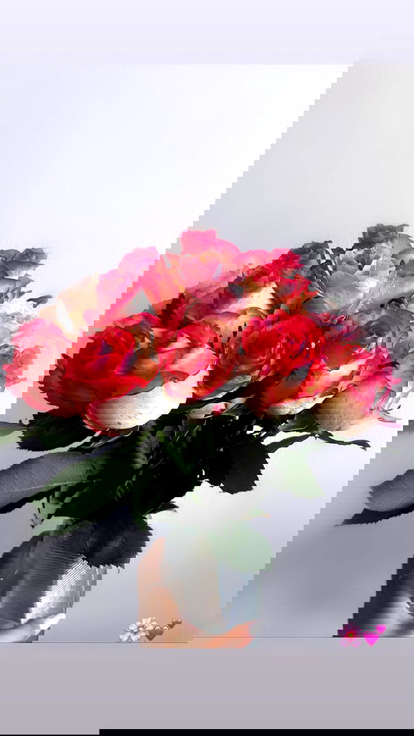 biton__adi biton__adi archive image